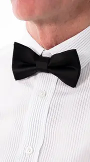 1. Bow Tie - Coenia thumbnail