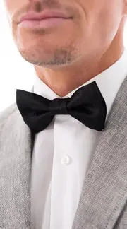 Bow Tie - Ventura thumbnail