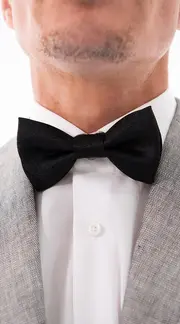 4. Bow Tie - Ventura thumbnail